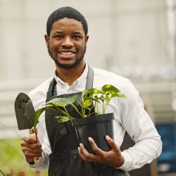 Gardener in an apron. African guy in a greenhouse. Flowers in a pot.